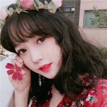 天天飞机达人游戏